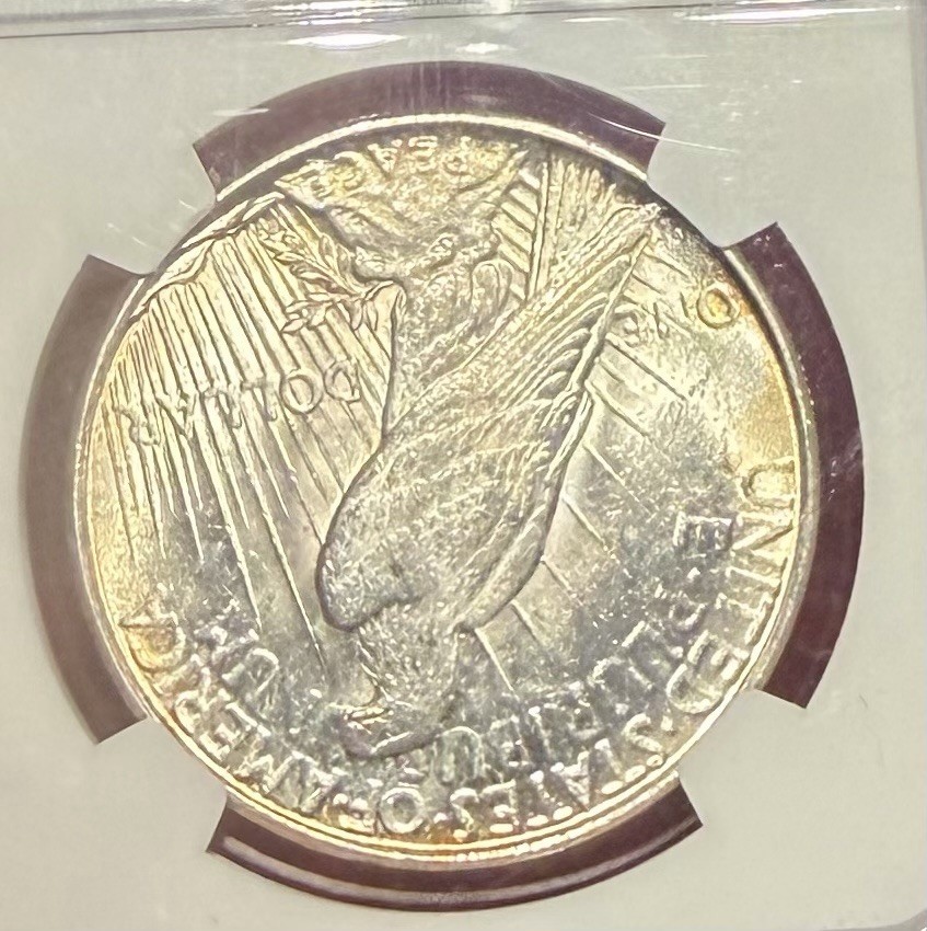 1923 D Peace Dollar NGC MS63