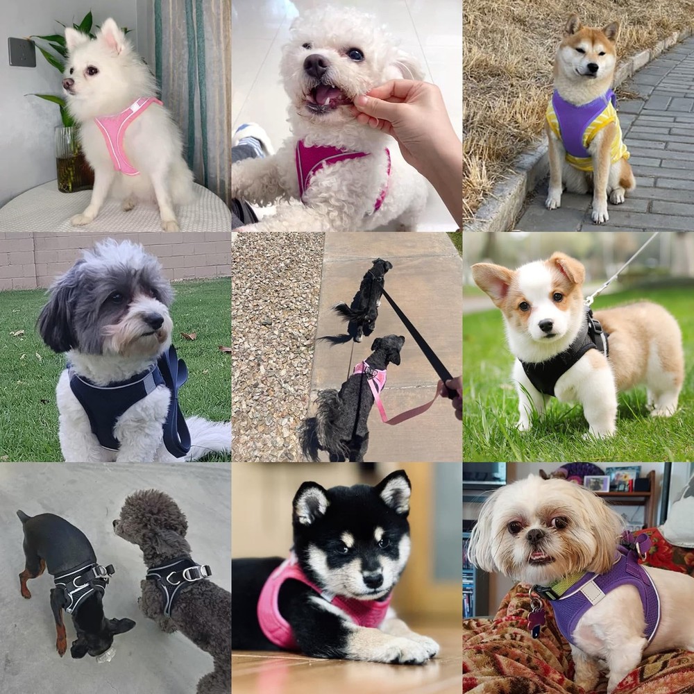 Dog Harness with Leash Set, No-Pull Step-in Reflective Pet Harness with 1 Lea...