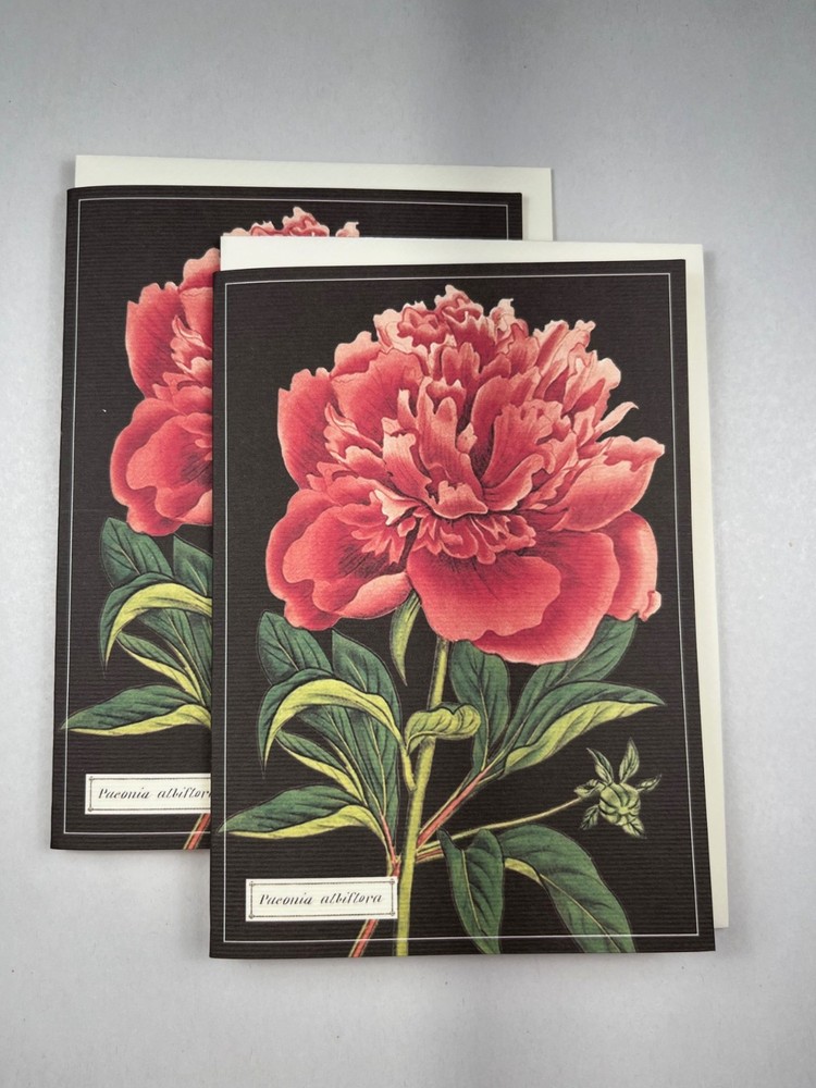 Cavallini & Co. Botanical Boxed Notecards, Assorted