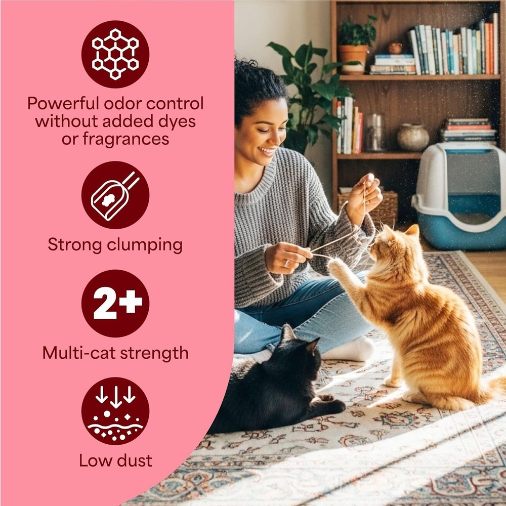 Advanced Unscented Clumping Cat Litter 18.5lb – Compatible with Automatic Boxes
