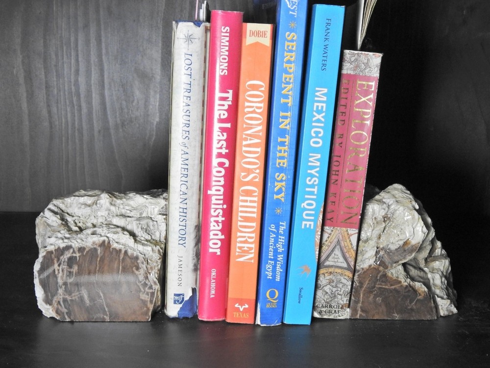 Book Ends Petrified Wood