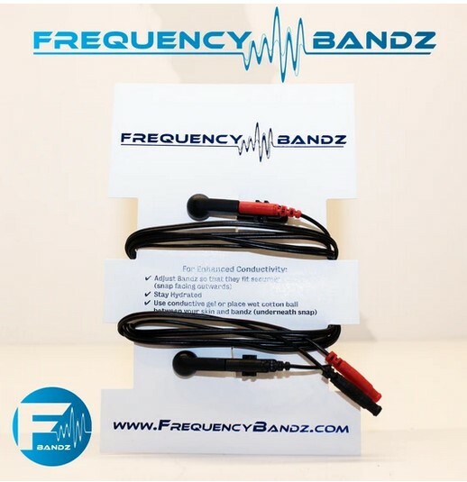 Ear Clip Electrodes / Healy Compatible