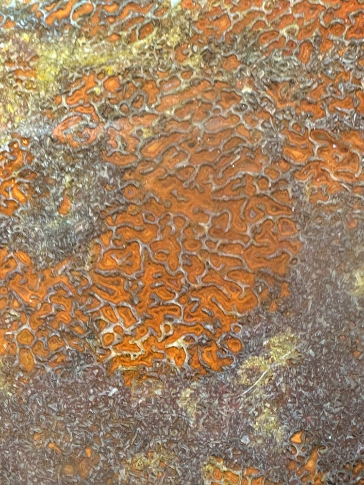 Dinosaur bone rough **hxtled large slab.