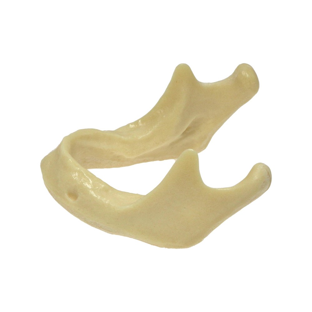 Dental Implant Mandible Jaw Model Basic Drilling Insertion Practice M2022