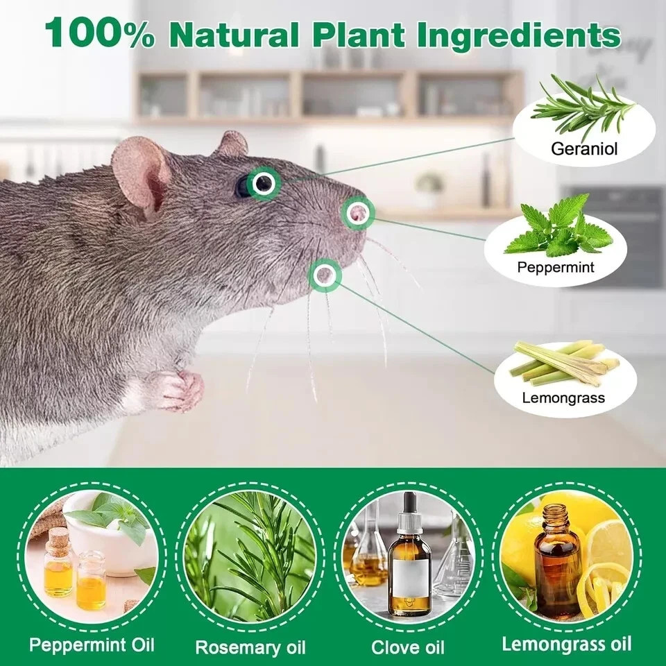 12 Pack Vamoose Natural Rodent