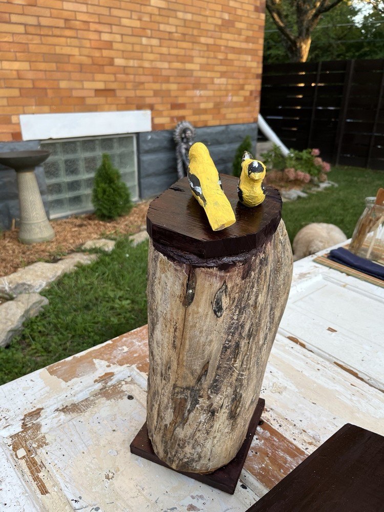 Hollow Log Bird House