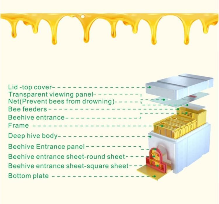 Deluxe Mini Mating nuc Box Queen Bee Rearing Plastic Styrene Foam box 4-frame