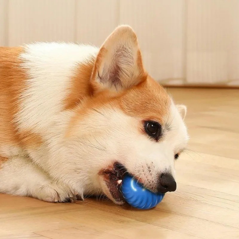 Smart Dog Toy Ball USB Electronic Interactive Pet Toy Automatic Moving Bouncing