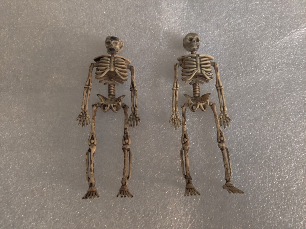 Halloween Skeleton Pair Props (Plastic)