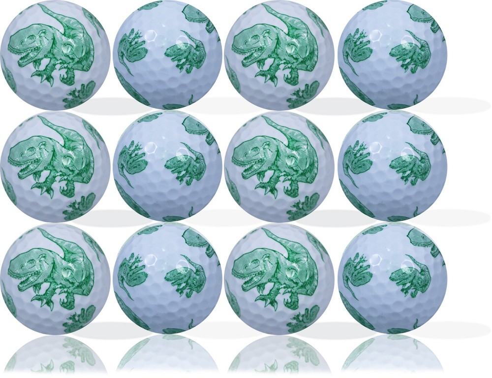 Green Dinosaur Full wrap 12 Pack - Great Gift Idea