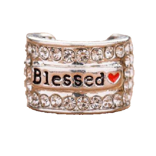 CharMED Stackable Personalize Stethoscope Bling Charm | Blessed