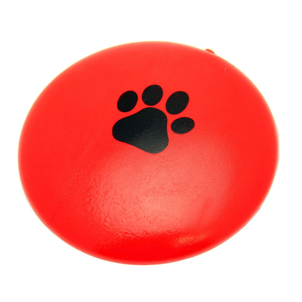 Squeaky Disc Dog Toy