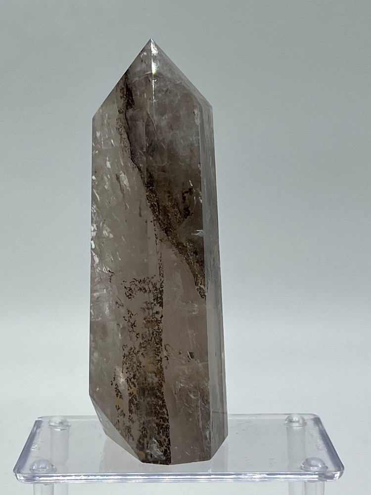 Dendritic Quartz D