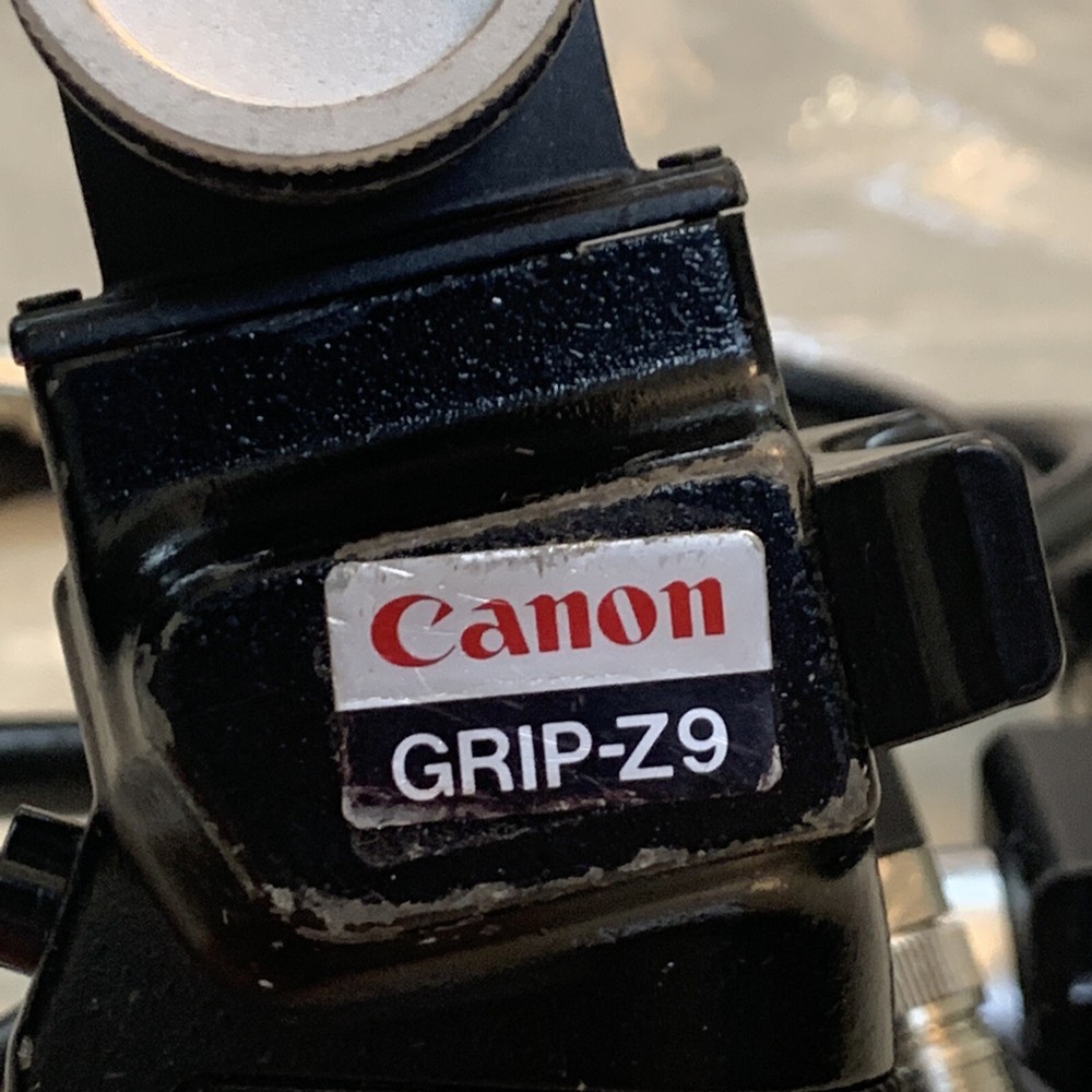 Canon GRIP-Z9 and F- control