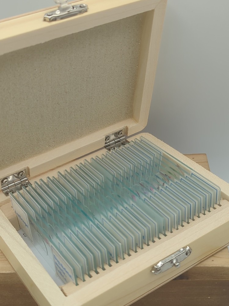 AmScope PS25 Prepared Microscope Slide Set for Basic Biological Science