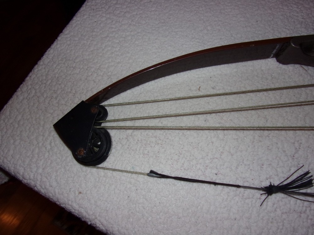 Bear Whitetail Hunter Vintage Compound Bow