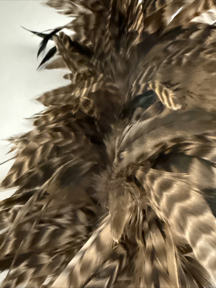 Real Feather Duster with Rope Hook and Wooden Handle