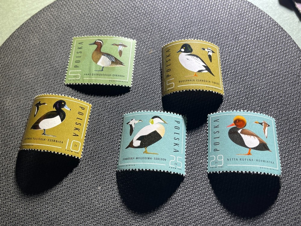 Five Poland Wild Duck Stamps MNH