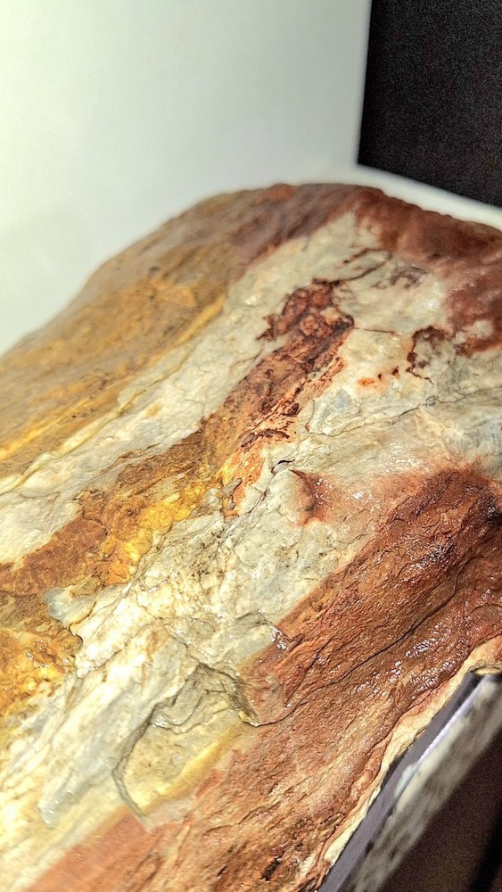 Petrified Wood