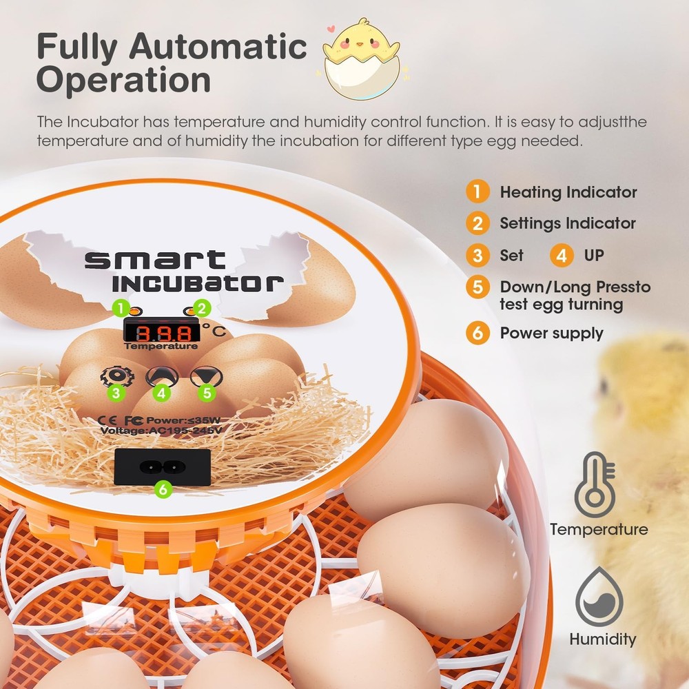 12 Egg Incubator with Automatic Egg Turning and Temperature Control, Automati...