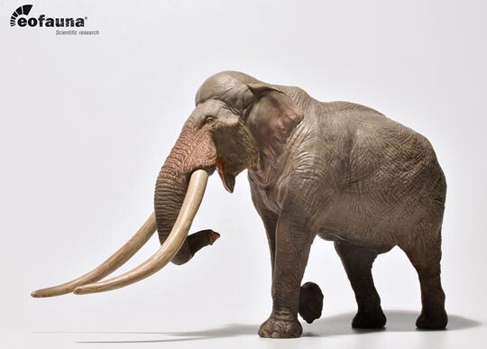 Eofauna Straight-tusked Elephant - BNWT