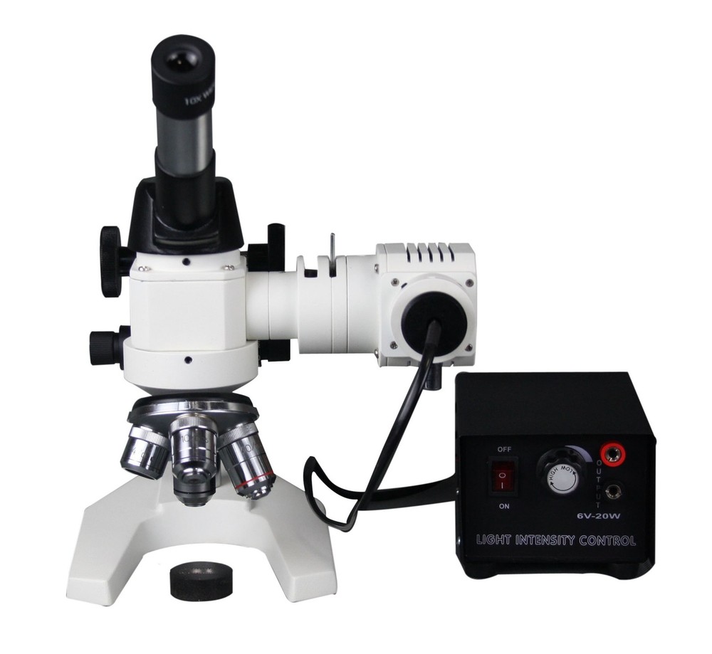Radical 600x Material Testing Lab Metallurgy Reflected Light Microscope HD cam