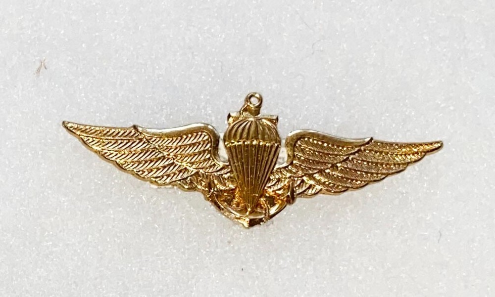 Brazil Marine Corps Basic Airborne Para Wing Badge