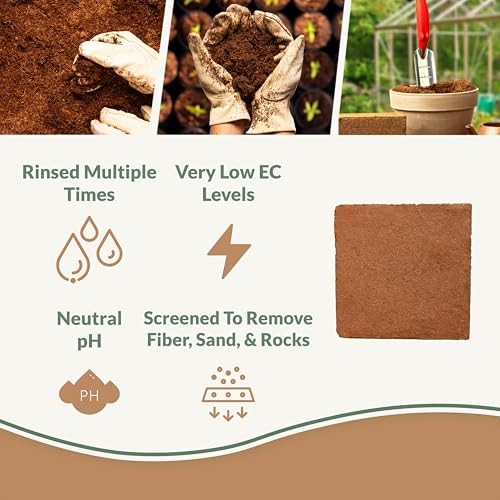- 100% Buffered Organic Coco Coir for Plants & Buffered Coco Bliss (10lbs)