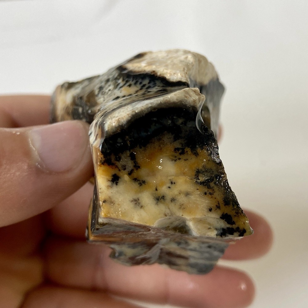Natural Dendritic Opal Stunning Rough Stone 7.67 Oz!