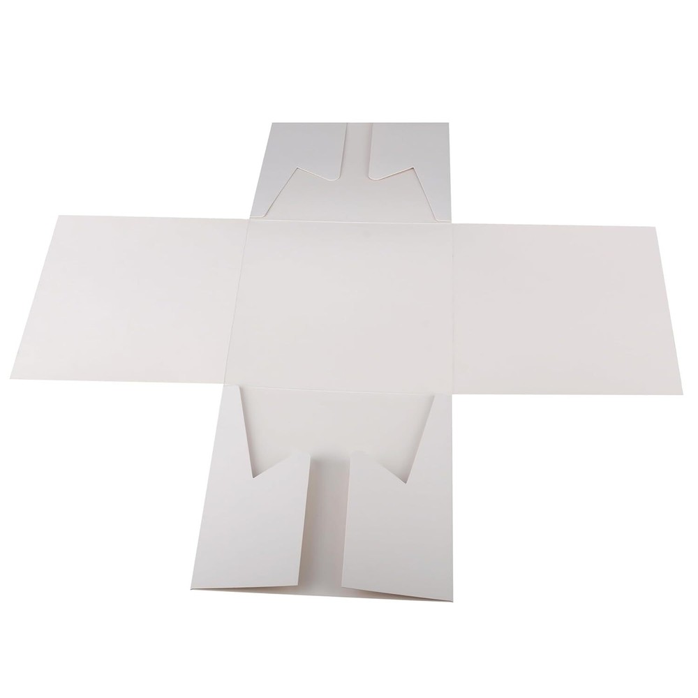 Cakebon Cake Boxes with Drums (White, 8 inch) 1/2" Thick (6-pack) 6-pack