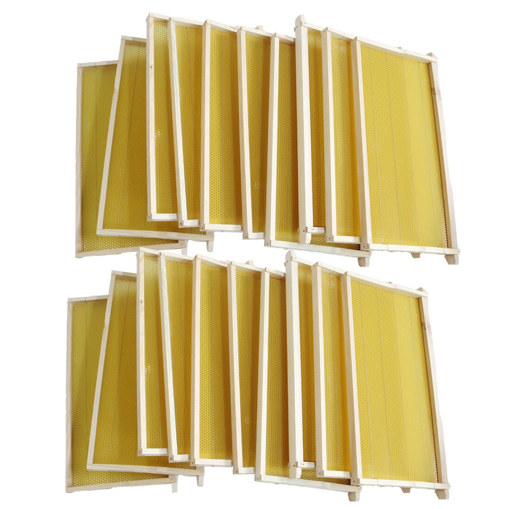 20 Bee Foundation Deep Bee Hive Wax Foundation Bee Hive Frames with Wire