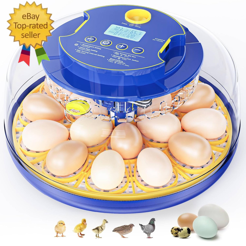 18 Chicken Egg Incubators for Hatching Eggs: Egg Incubator with Automatic Egg