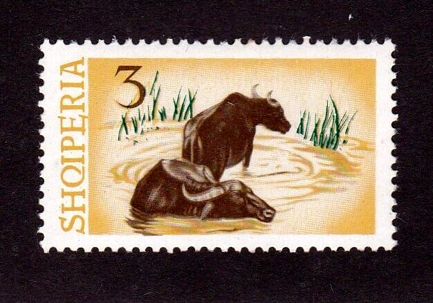 Albania stamp #798, MH,