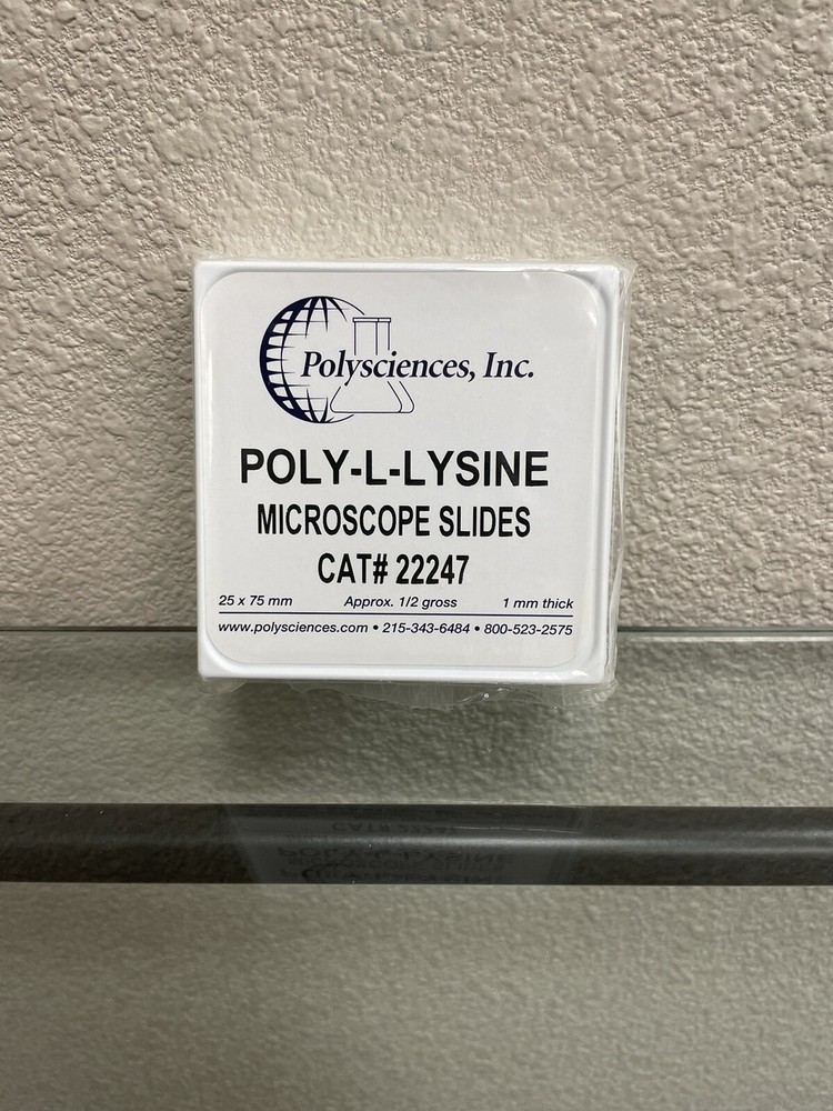 Polysciences, Inc, Poly-L-Lysine Microscope Slides, 1 mm Thick, 72 Per Box