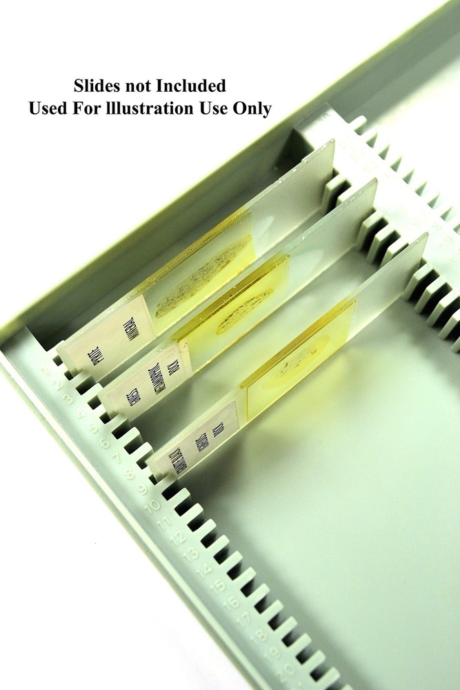 EISCO - Durable Microscope Slide Box, Polystyrene, Holds 100 75mm x 25mm...