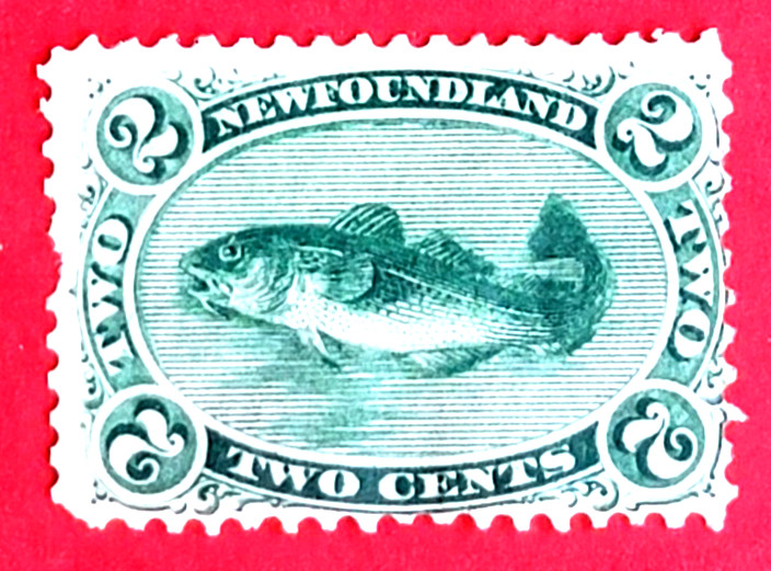 Canada Newfoundland #24 Codfish MH