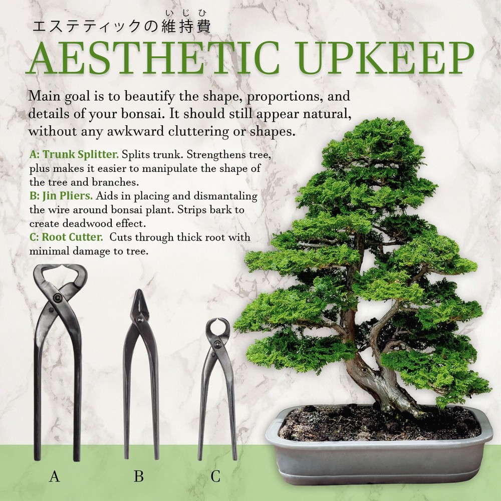 3 Piece Trunk and Root Bonsai Tool Set