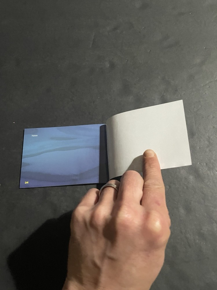 Shark tale gba Manual only