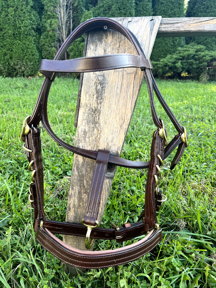 Leaders Heavy Duty True Draft Size Halter Bridle with Solid Brass Hardware