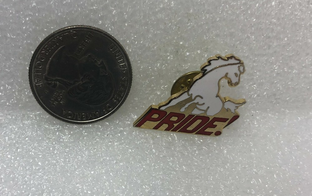 Mustang Pride! Pin