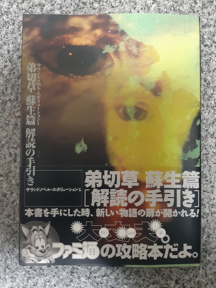 PS Otoshikirisou ResurrectiHDeciphering Guide
