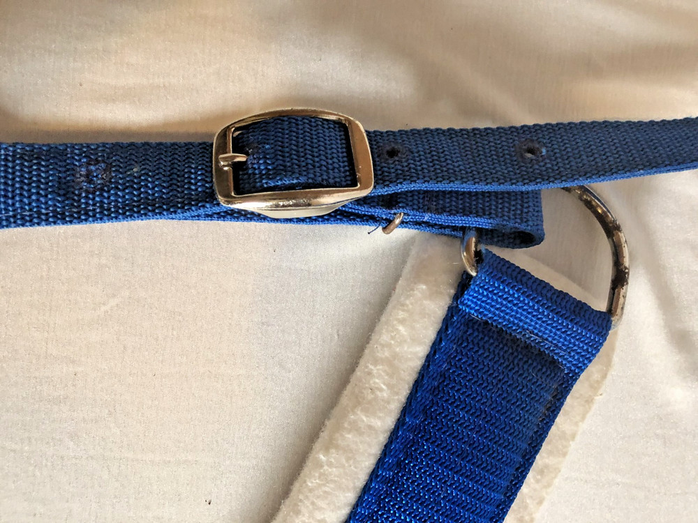 Fabtron Sky Blue Nylon Web Felt-Lined Comfort Breast Collar