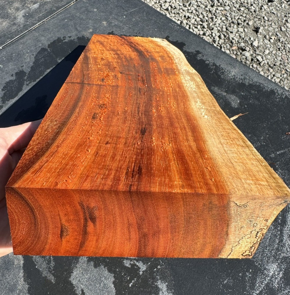 Hawaiian Curly Koa Board #13105