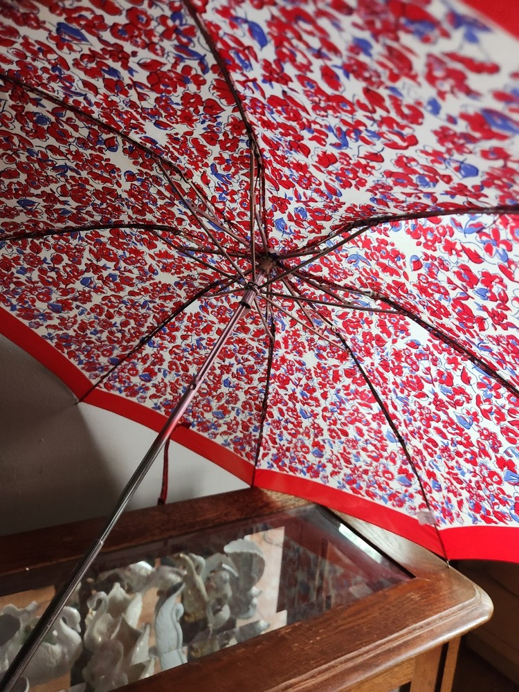 Floral Pattern Women's Folding Compact Umbrella • Blue, White, & Red Colored