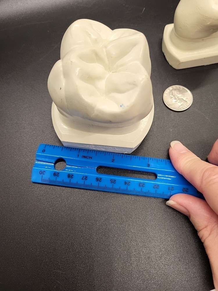 Two Weird Tooth Models 1970's