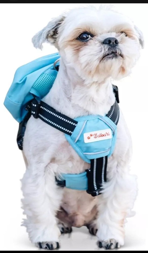 Balbari Dog Backpack Harness No Pull Harness Small Sky Blue