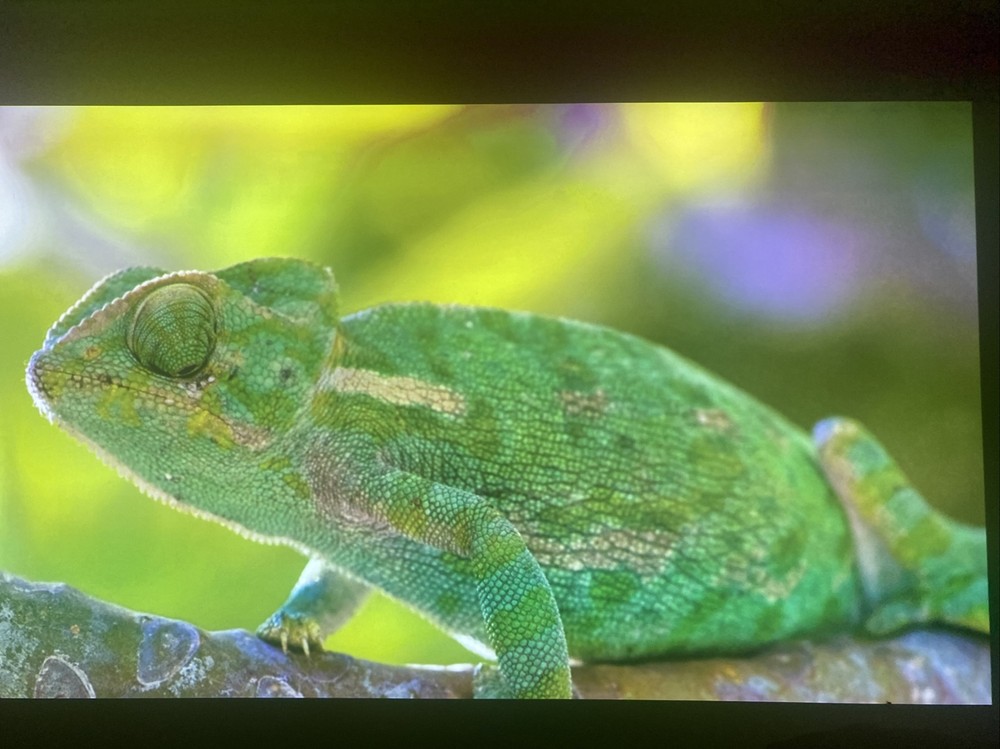 Dell Laser Projector