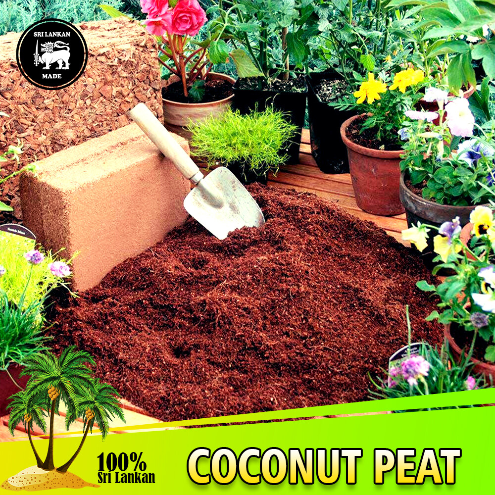 Coco Peat Coir Pith Compost Hydroponic Organic Dry Natural Growing Media Soil