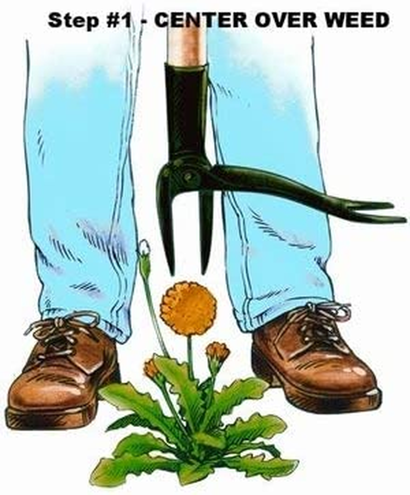 "The Authentic Stand-Up Weed Extractor Tool with Extended Handle - Crafted from