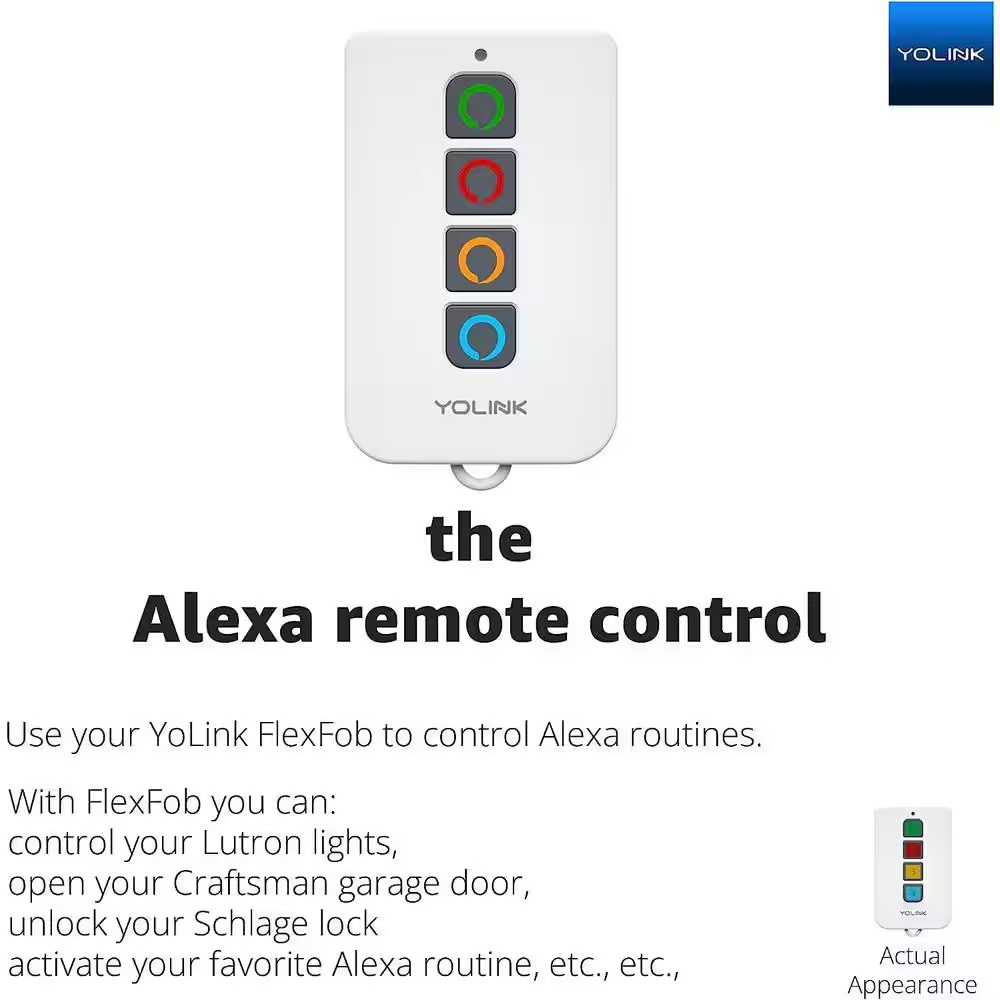 Smart Lora Flexfob